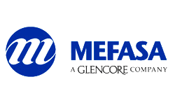 Mefasa